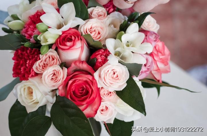 送花给女朋友选择什么花,第一次给女朋友送花要注意什么