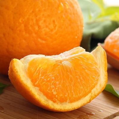 你属于什么水果？我是西瓜