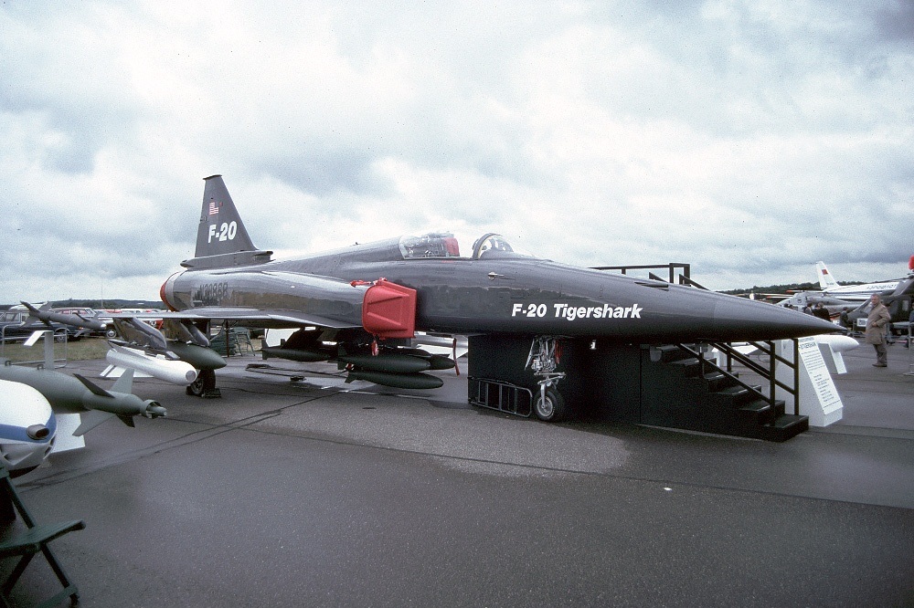 虎鲨悲剧,极富悲剧色彩的虎鲸