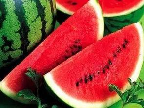 这5种水果浑身是宝夏天吃最适合,夏季最适宜吃的凉爽的水果又便宜