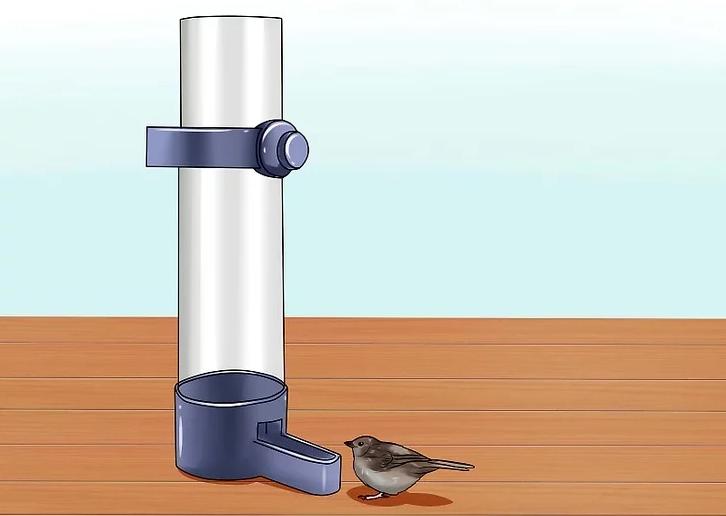 你有没有养过小动物,你有没有想过要养一只猫