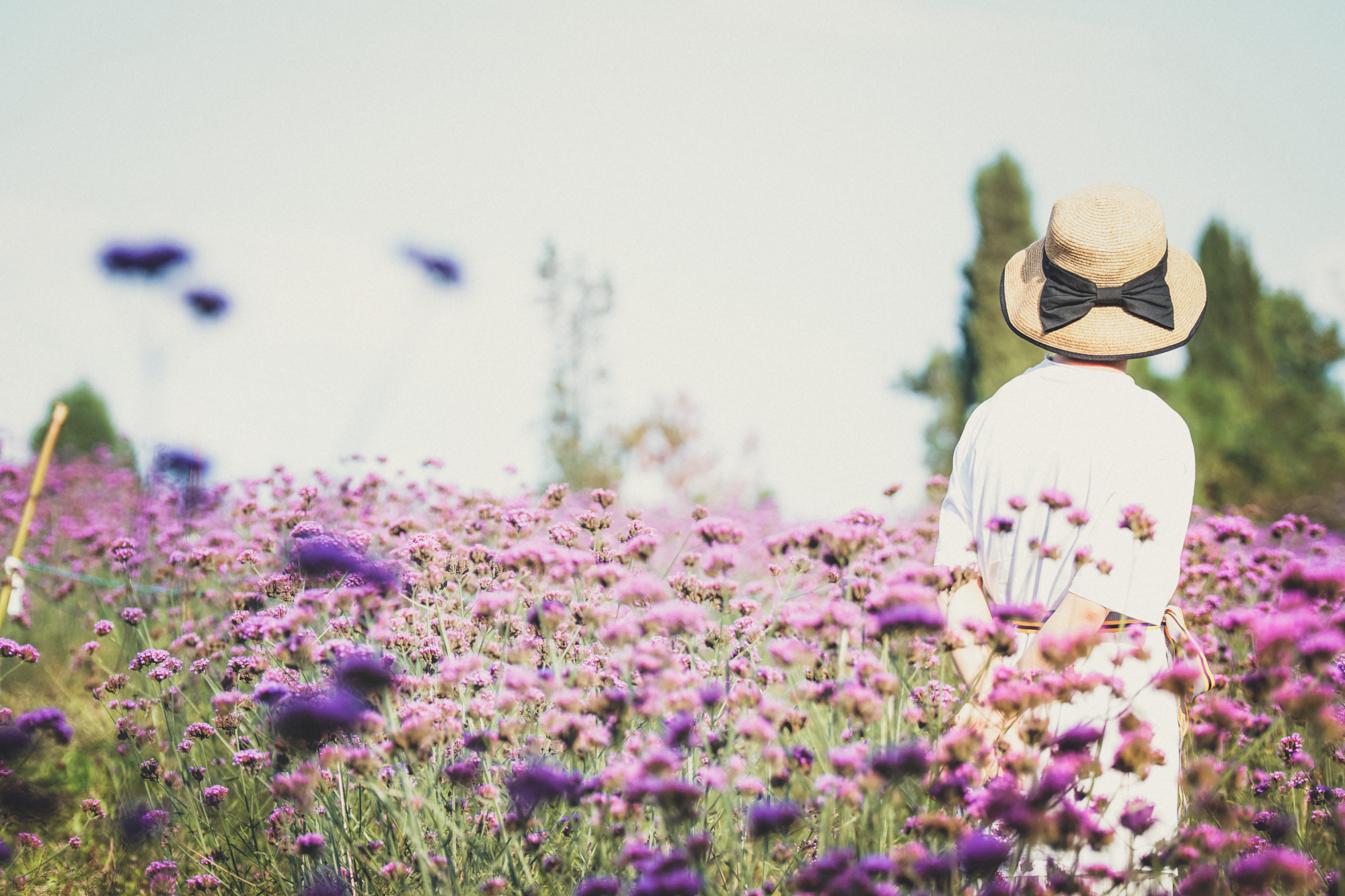为什么讨厌一个人用不着翻脸,讨厌一个人用不着翻脸深度好文