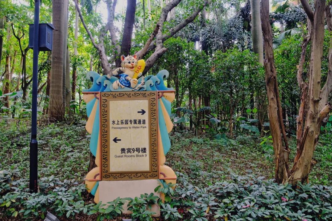 广州长隆怎么玩最划算攻略分享,广州长隆省钱攻略