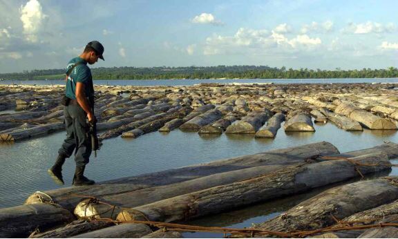 我国吉他发展前景,中国吉他行业市场规模