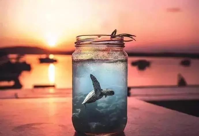 python12306自动抢票,python12306自动抢票教程