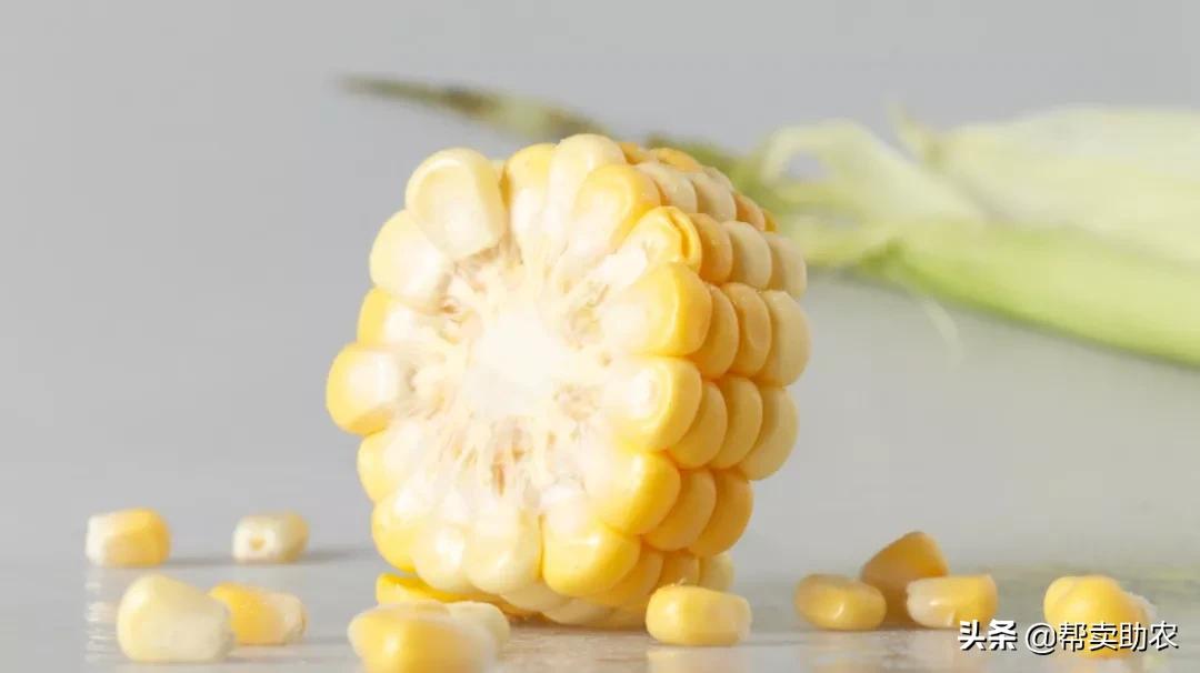 正宗爆浆水果玉米,甜脆水果玉米爆浆