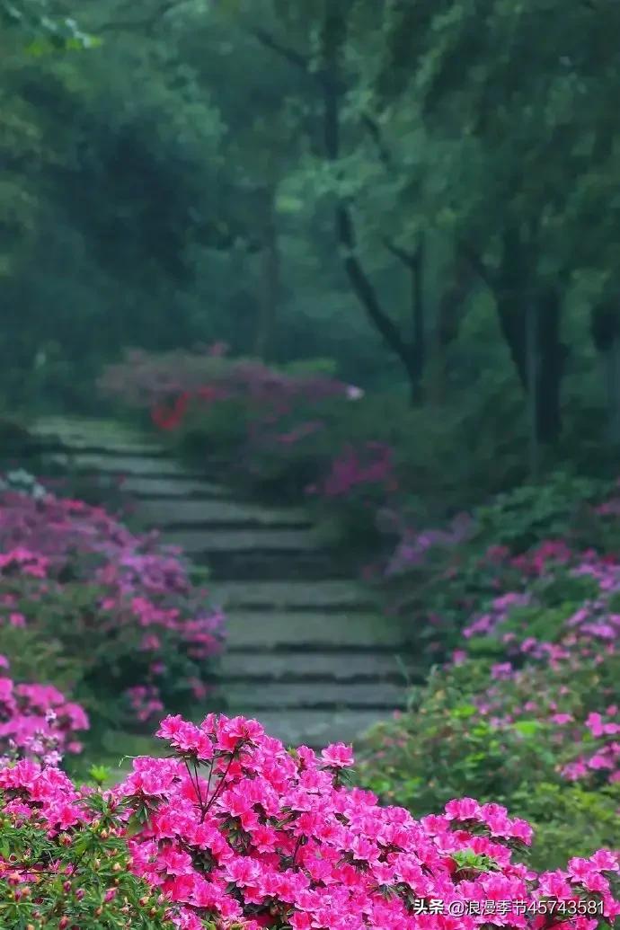 八月未央美文,八月未央美文分享