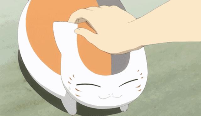 训练猫咪的100种方法,训练猫咪的基本方法和注意事项