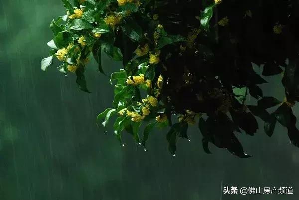 晨读|秋从何处来?