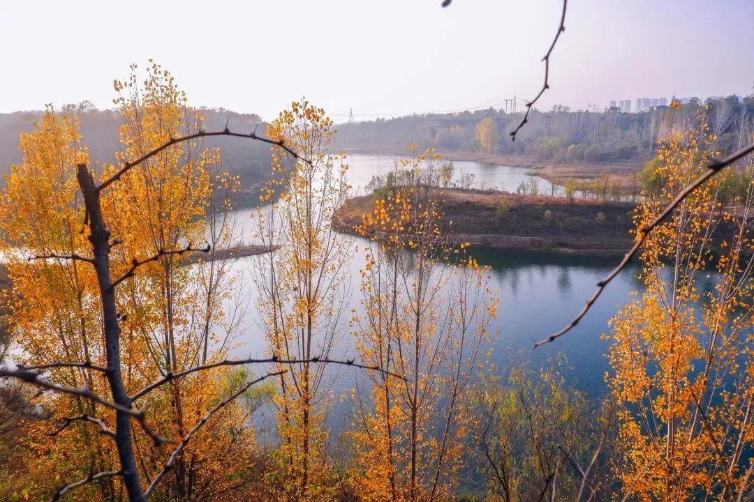 郑州2023年崛起吗,郑州今年还会升温吗