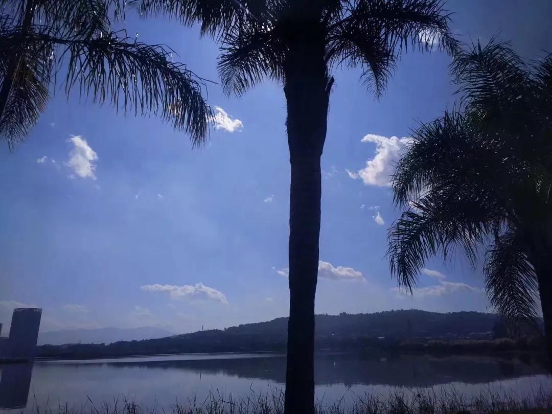 五一昆明周边游适合孩子玩的地方,昆明五一旅游景点攻略自由行