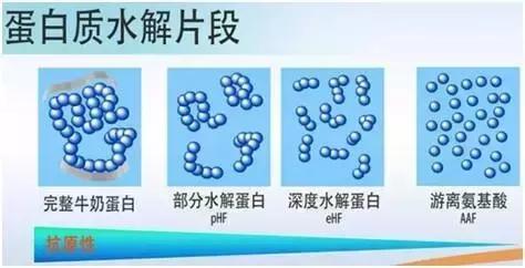 轻松搞定儿童食物过敏,只需六步!跟恼人的湿疹过敏说88