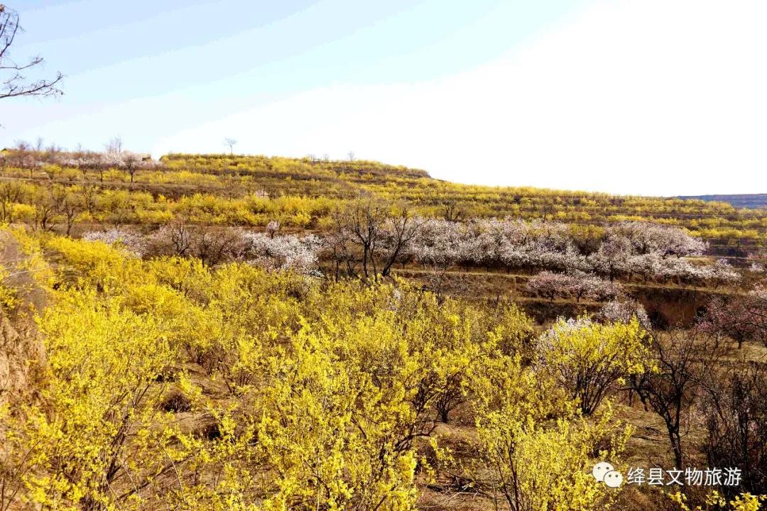 美丽乡村百花节,美丽乡村山花节