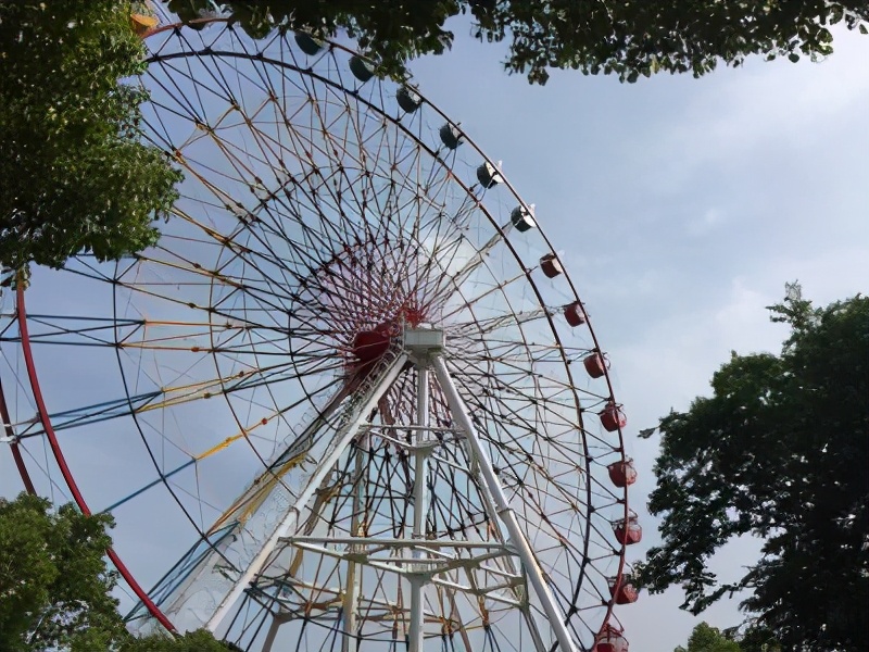 上海野生动物园一日游的句子,上海野生动物园一日游旅行团