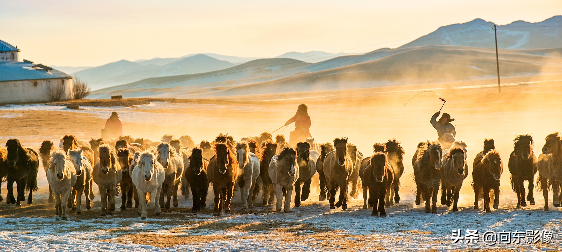 尼康z7一代高感,尼康z7ii4k60p是超采样吗