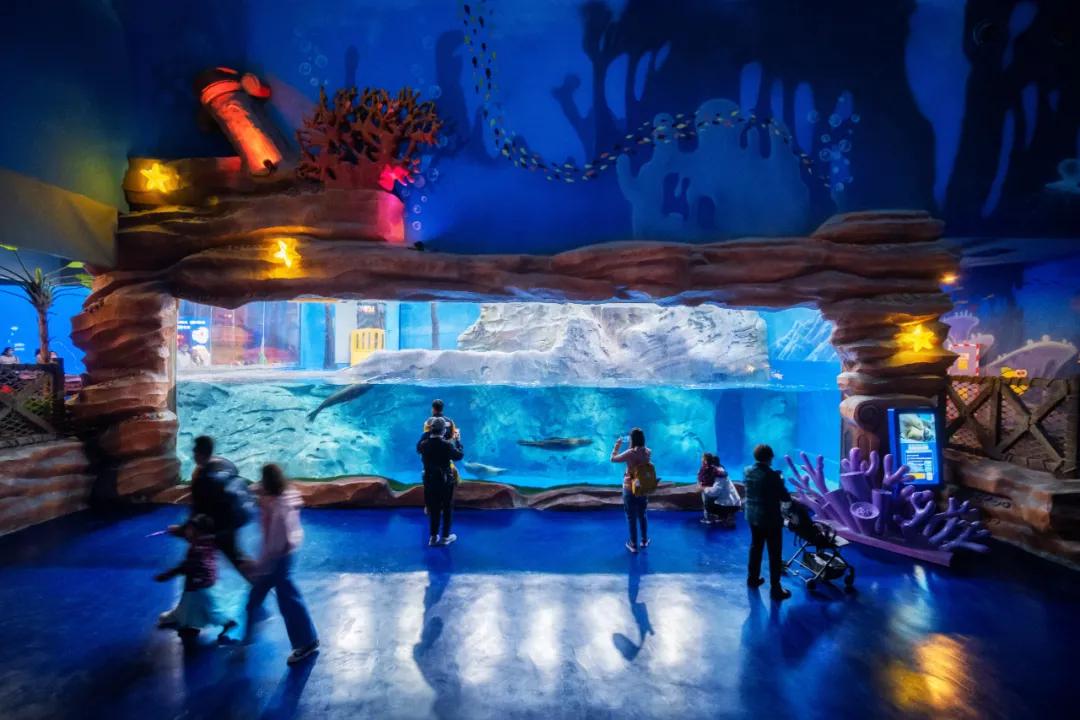 这个季节适合去济南哪旅游,济南十一假期游玩攻略