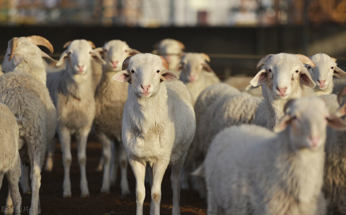 云南2024年开工水利项目一览表,云南150项重大水利项目