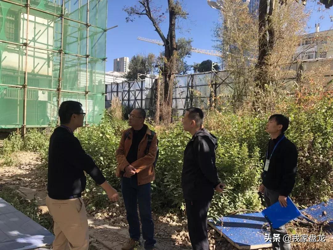 盘龙宝藏2018年度“账单”出炉:*物文**保护,我们一直在路上