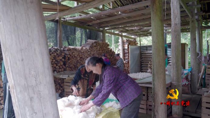 “最美志愿者”高允旺：振兴乡村让科技服务“三农”