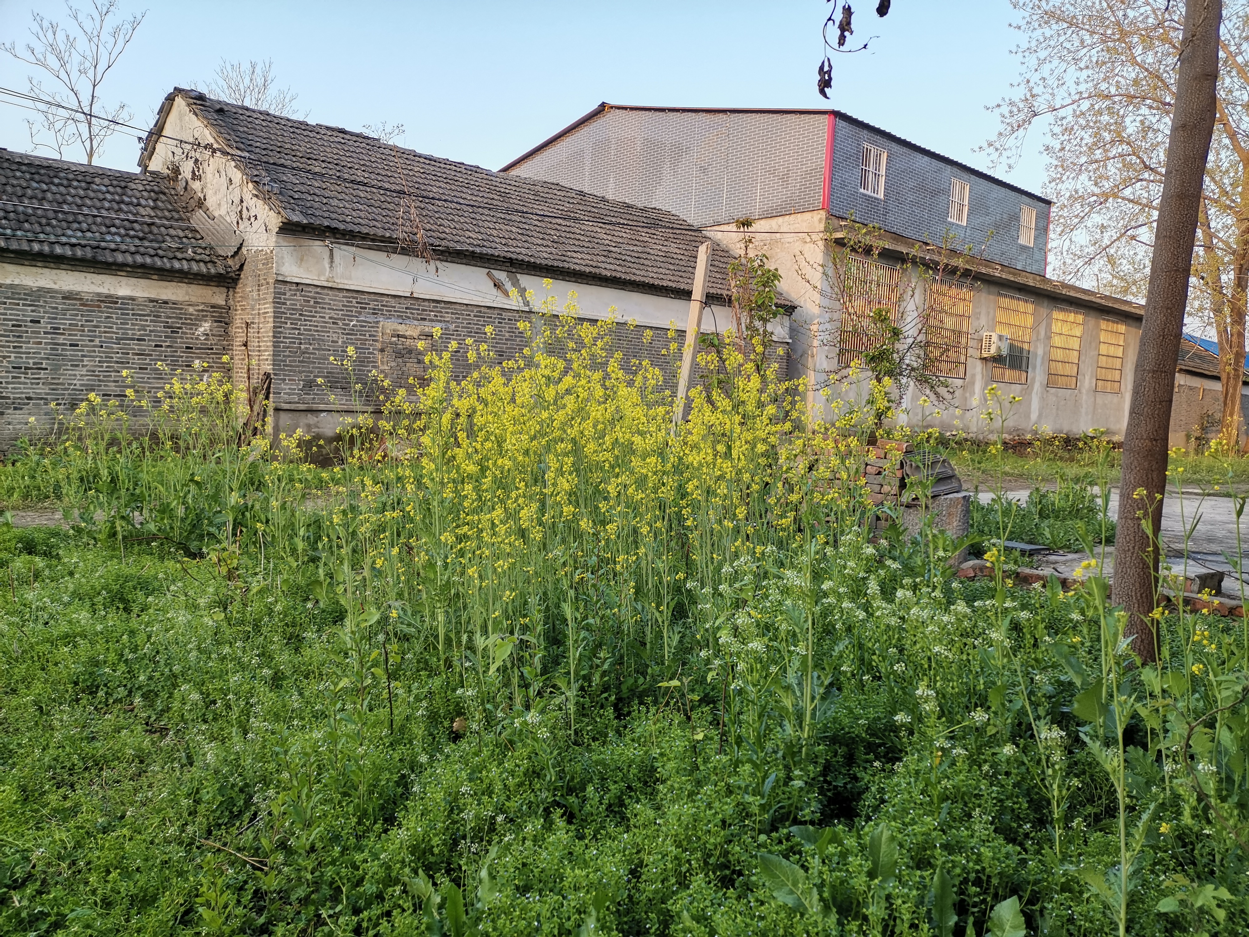 房屋确权后又盖房了怎么办,农村房屋确权以后买房算二套房吗