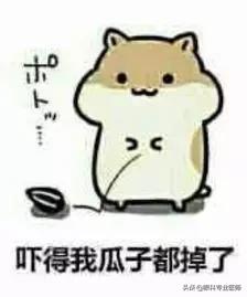 爱马仕眼药水可以天天用吗,眼药水里的爱马仕