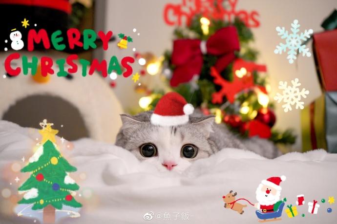 “不过洋节，*制抵**圣诞”于是天朝网友吃起了饺子、火锅、螺蛳粉