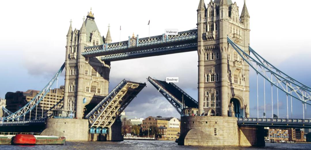 全免费的百科知识网站——DKFindOut!