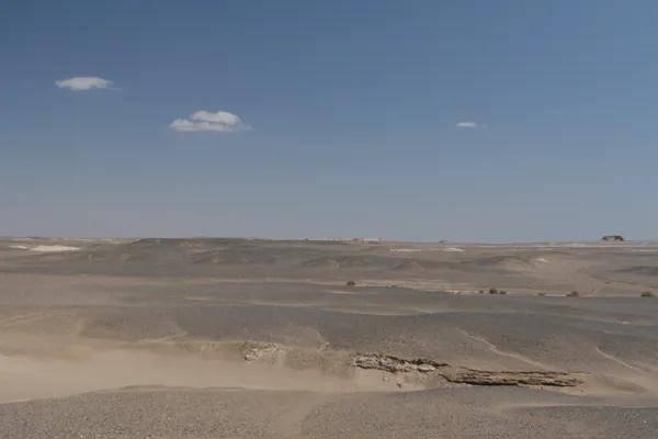 电影解读完整版宁浩,宁浩被雪藏4年的电影