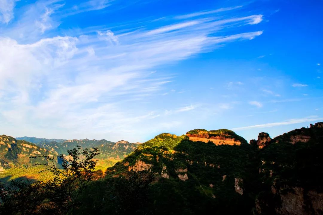 三佳会员免费领取,三佳会员福利怎么样