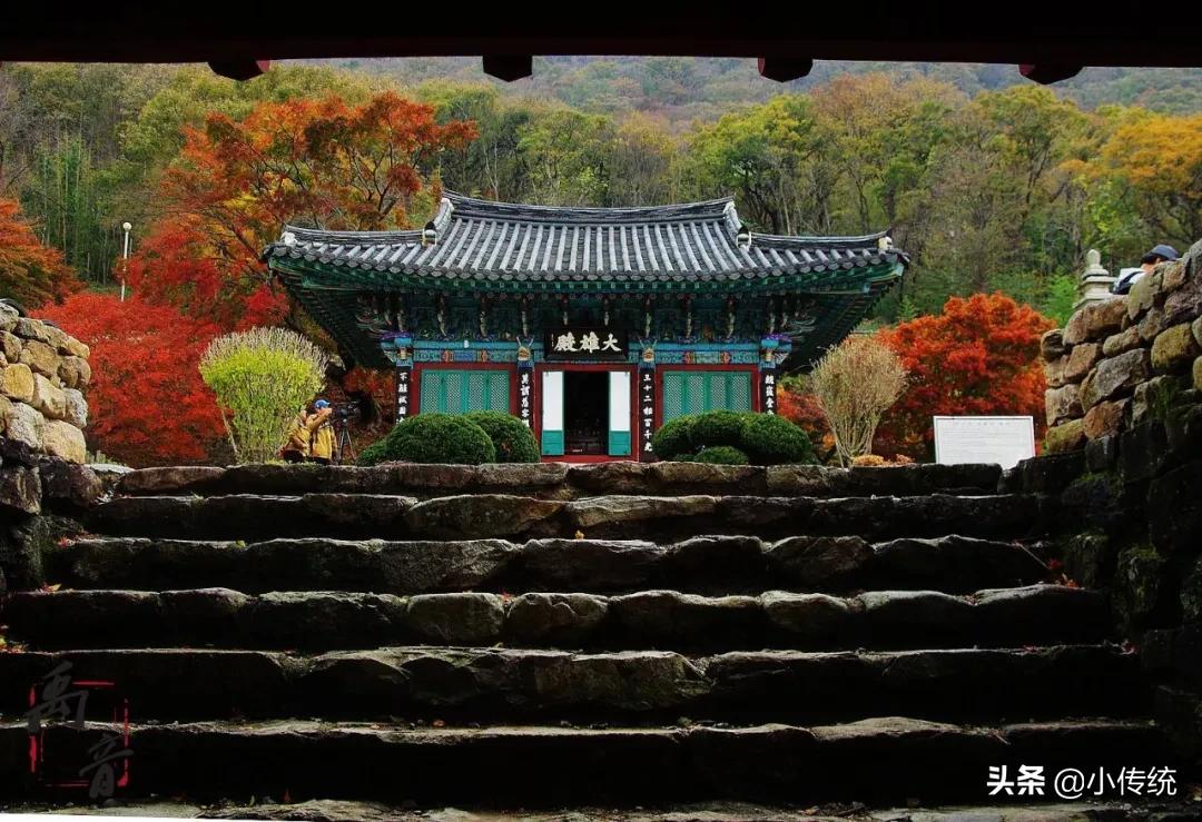 佛家禅定智慧的感悟,佛家六大经典禅语体悟智慧与慈悲