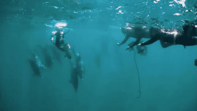 Get《妻子的浪漫旅行》同款行程，带上姐妹团浪起来呀