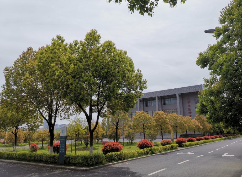 合肥滨湖职业技术学院招生“遇冷”，33个专业没招满，缺额1474人