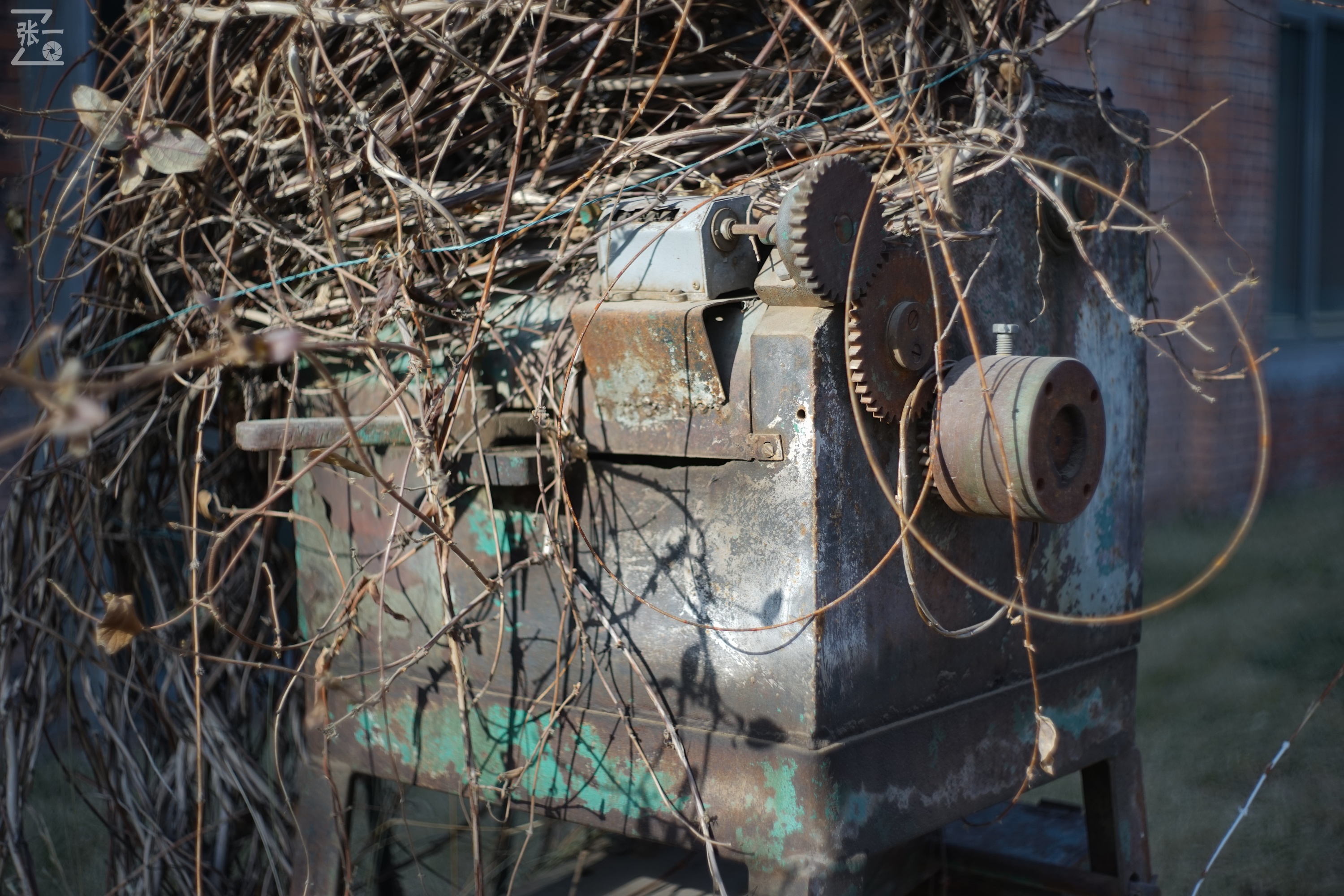 日本进口雅西卡胶卷相机,雅西卡135相机