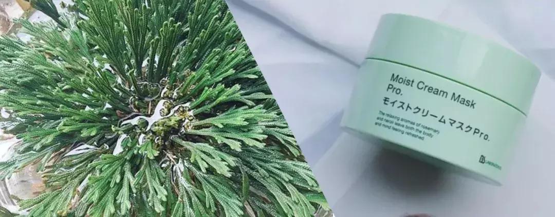 日本复活草面膜敷完后长闭口,日本复活草面膜晒后修复