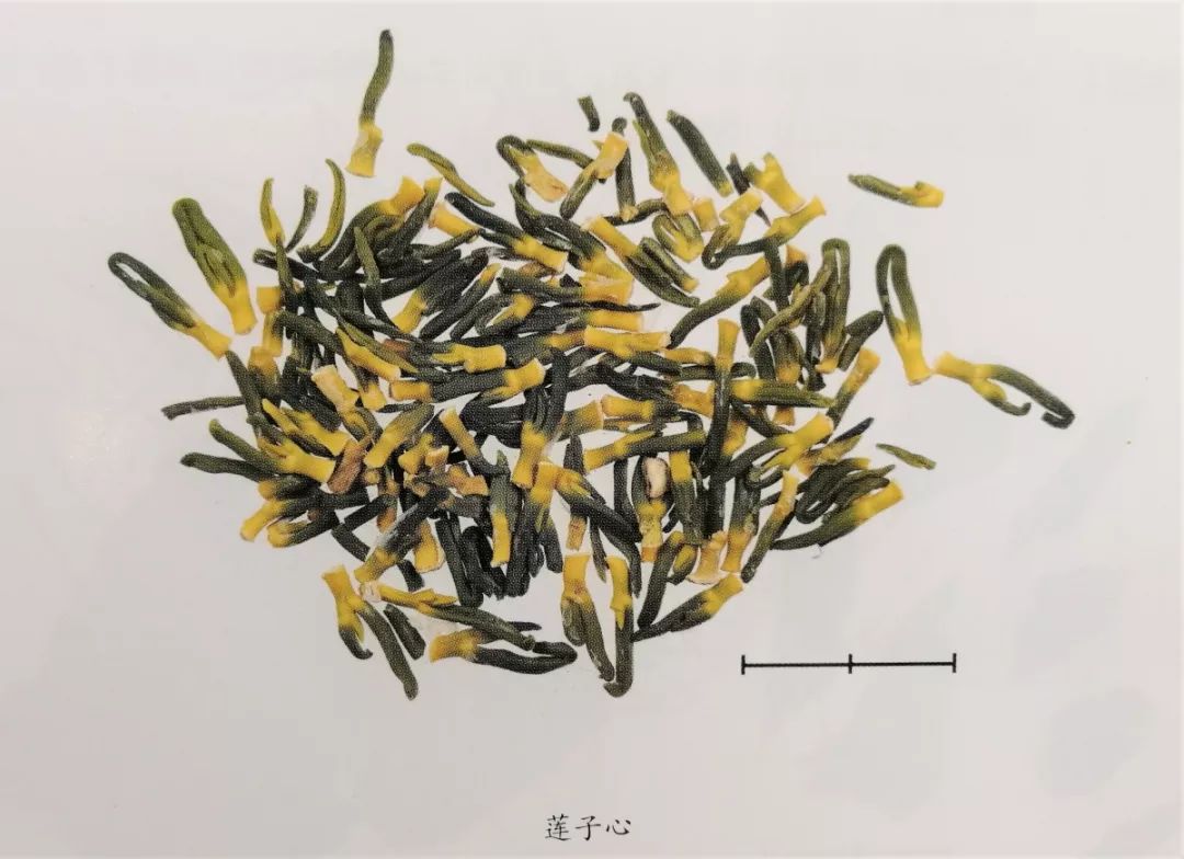 新版人民币金线错位有收藏价值吗,人民币里竟然还藏着这些小秘密