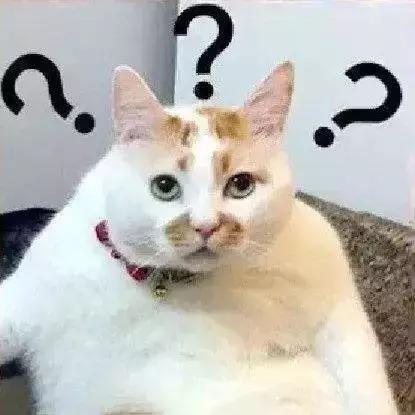 黄埔明治雪糕有限公司,广州明治雪糕参观