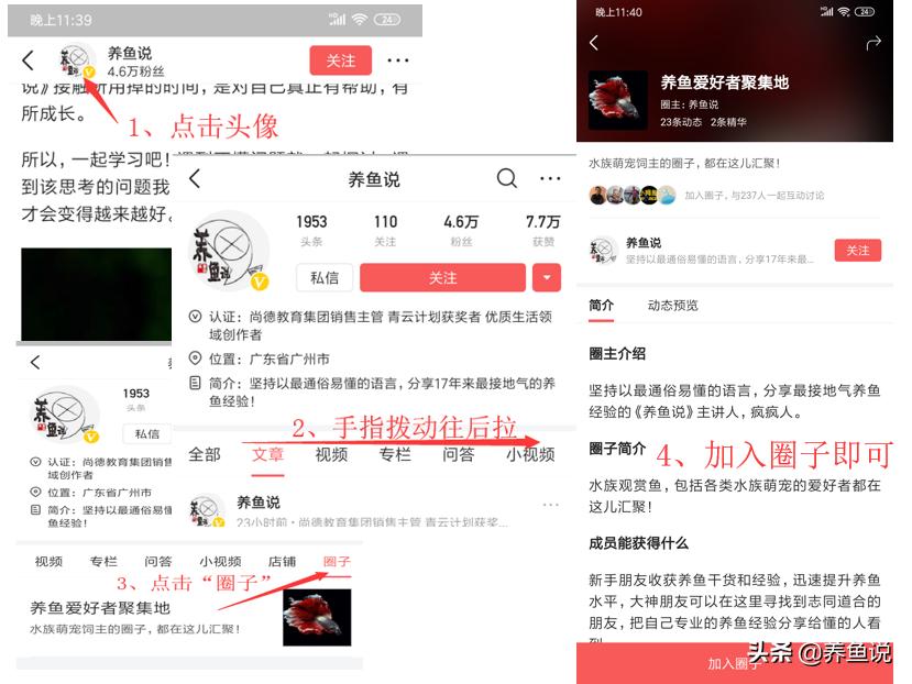 鱼缸水草怎么养好,鱼缸水草怎么养才能养得好
