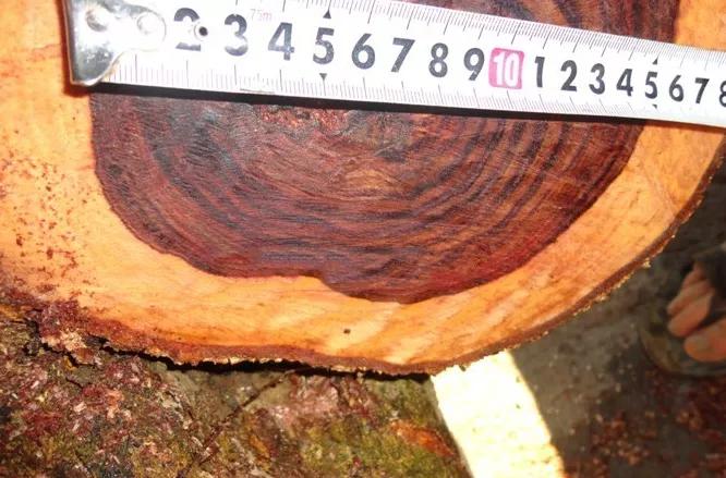 红木十大知名品牌有哪些呢,教你识别红木家具