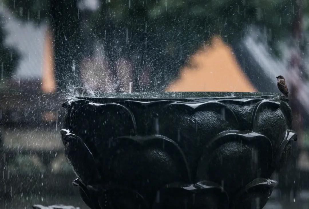 张衡发明地动仪的故事文字版,张衡发明的地动仪的故事