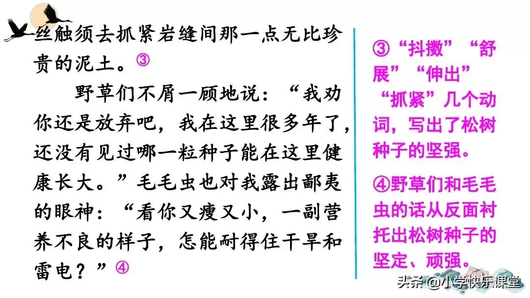 部编版六年级语文习作变形记,部编版六年级上册作文变形记教案