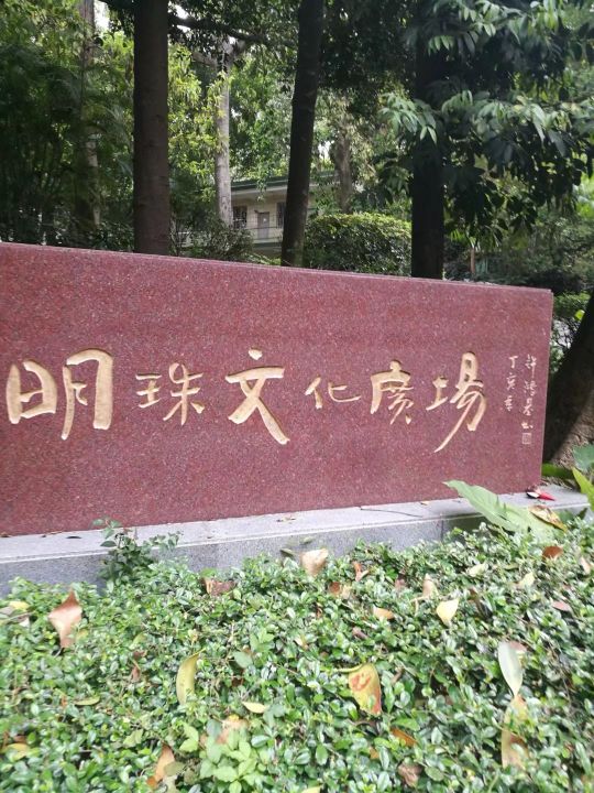 广州白云山游记作文,难忘的旅行广州白云山