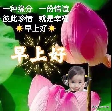 早上好周末愉快问候语动态表情包,周一早上好最新图片表情包