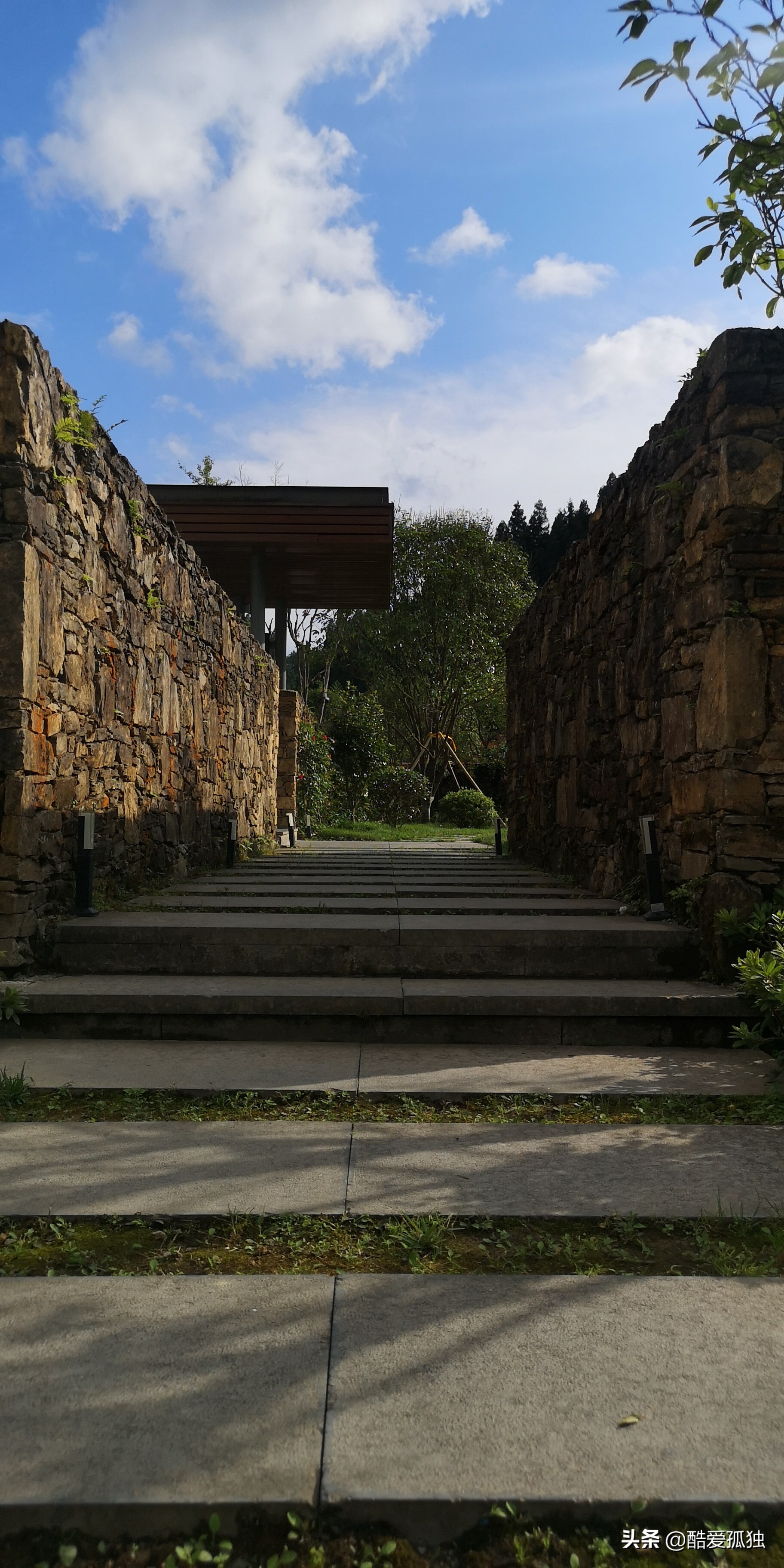 荣放双擎四驱精英plus放一夜没电,2.5荣放双擎plus和探岳四驱智联