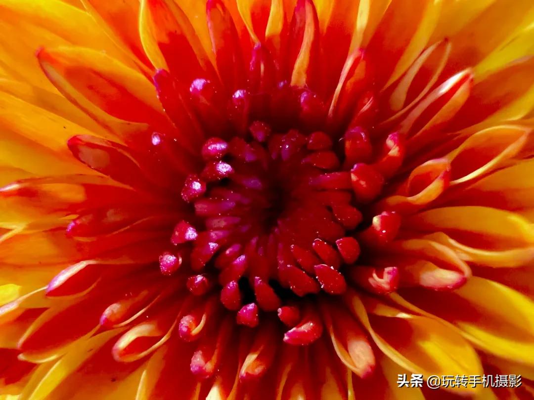 iphone用久了拍照感觉变差了,iphone拍照不清楚是不是相机坏了