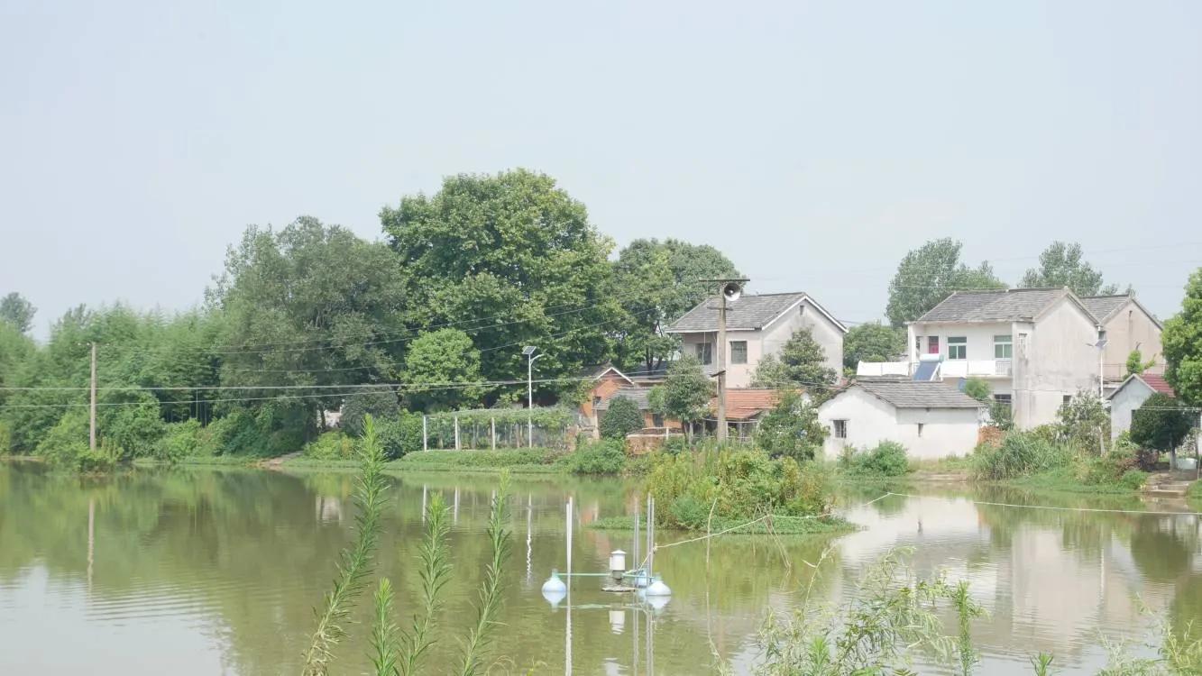 个人三下乡的心得体会,暑期三下乡心得感悟