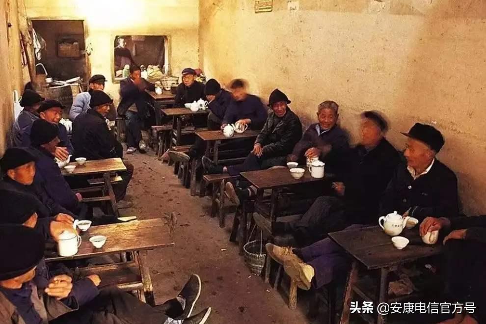 安康紫阳富硒毛尖,紫阳毛尖特别香