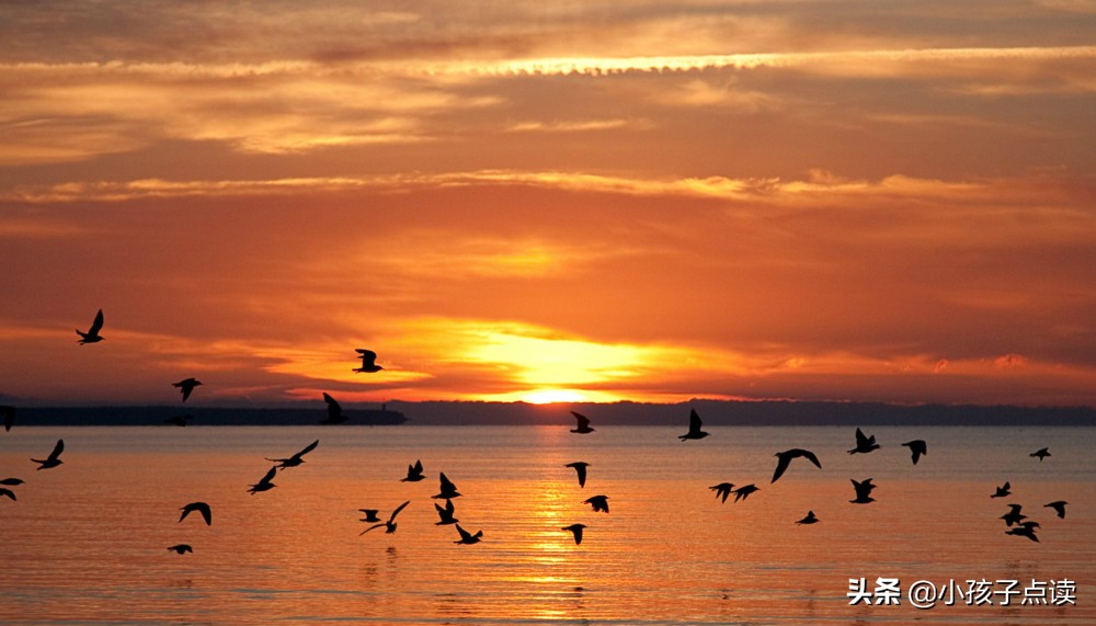 马致远古诗鉴赏,马致远评价元朝诗句