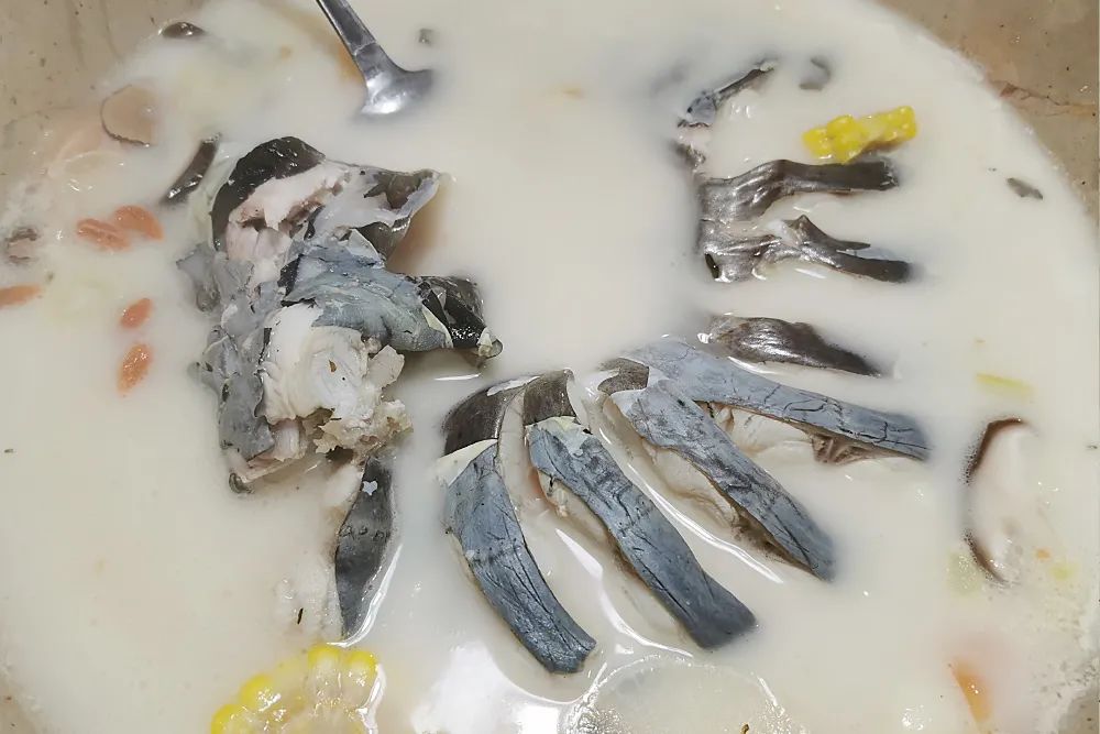 福缘石锅鱼朝阳南路店,福缘石锅