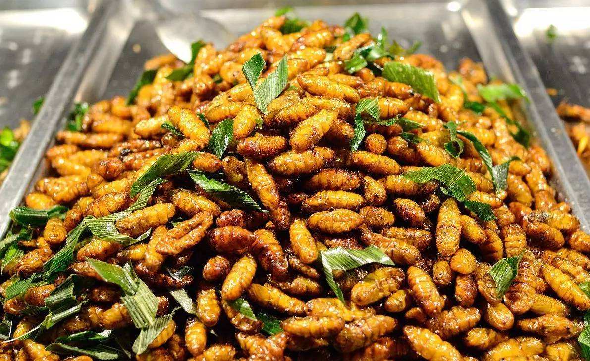 带大家了解一下昆虫美食,国外很火的4种美食昆虫你敢吃吗