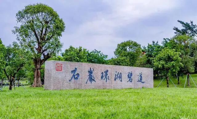 深圳市十大免费公园,深圳十大湖泊